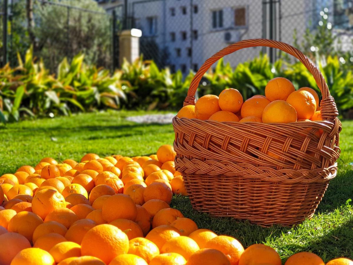 Ambience Dubrovnik Apartment Екстериор снимка